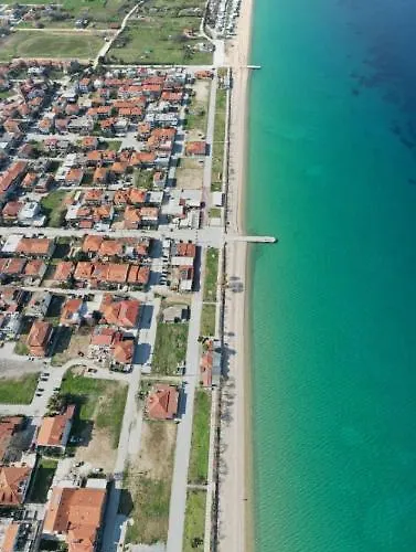 Xaroula