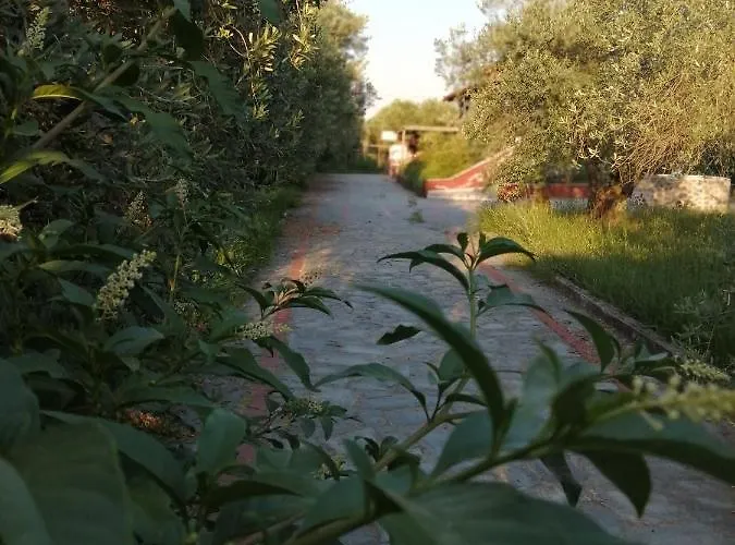 Lejlighed Xaroula